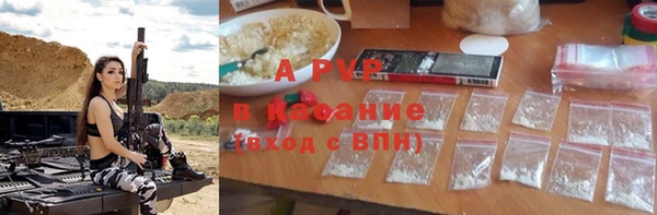 дмт Ладушкин