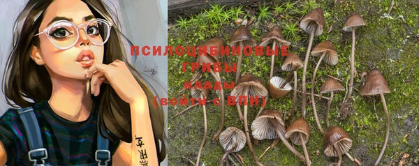 дмт Ладушкин
