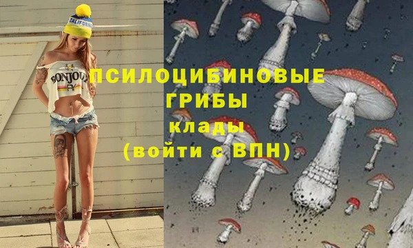 кокаин премиум Лабытнанги