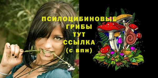 дмт Ладушкин