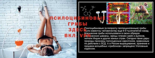 дмт Ладушкин