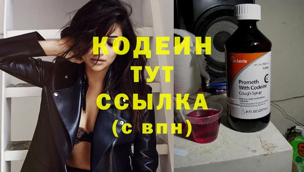 дмт Ладушкин