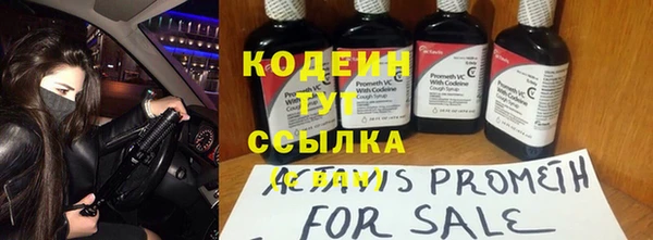 дмт Ладушкин