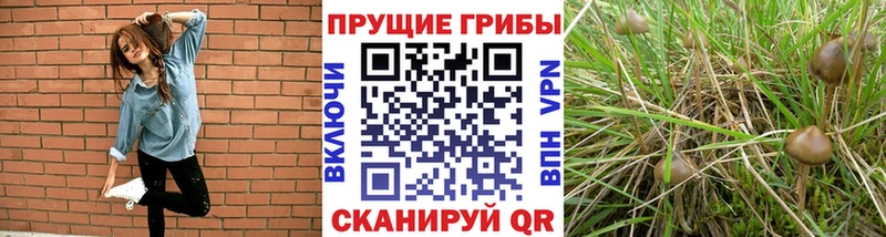 Галлюциногенные грибы MAGIC MUSHROOMS  Купить закладки  Невельск 