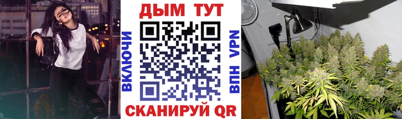 Шишки марихуана марихуана  Купить закладки  Невельск 